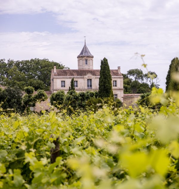 Discover the Domaine Domaine Sainte Rose